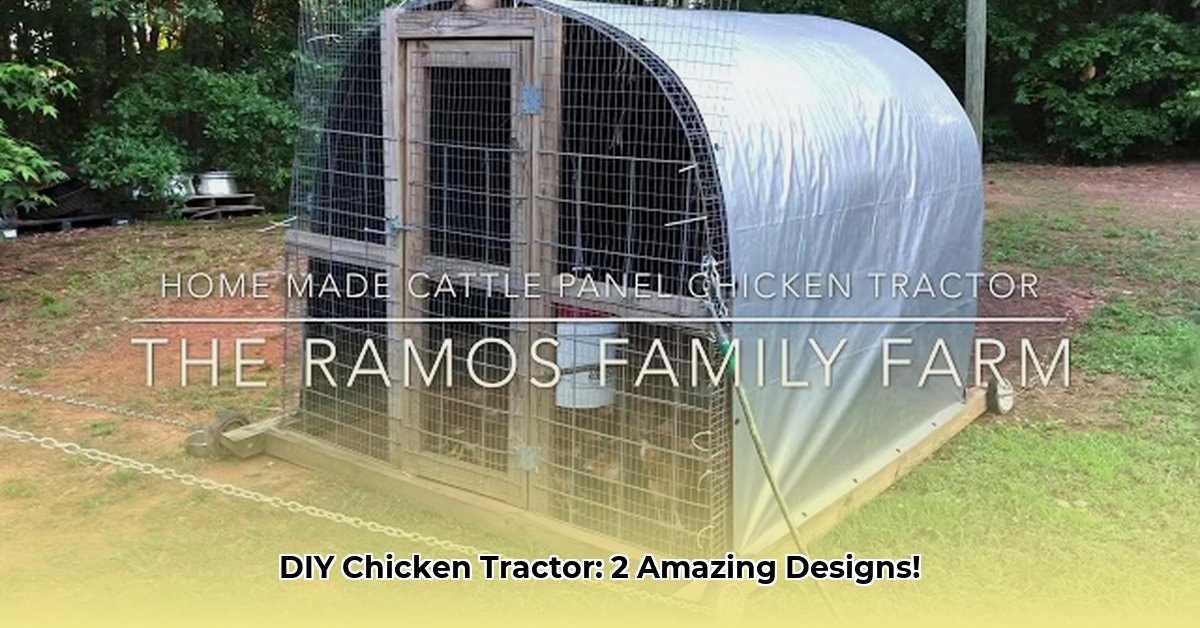 chicken-tractor-with-cattle-panels